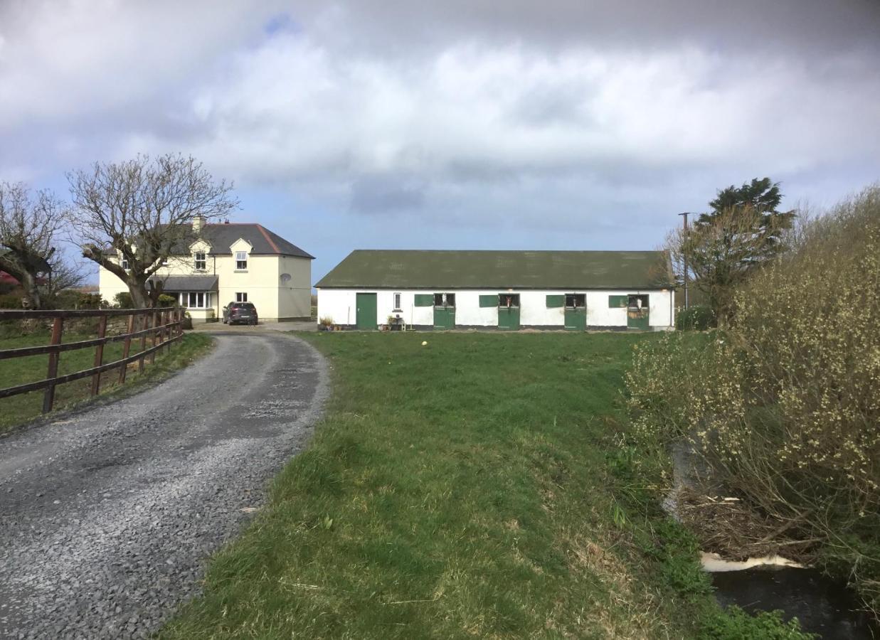 Dromelihy House Stud Pensionat Doonbeg Eksteriør billede