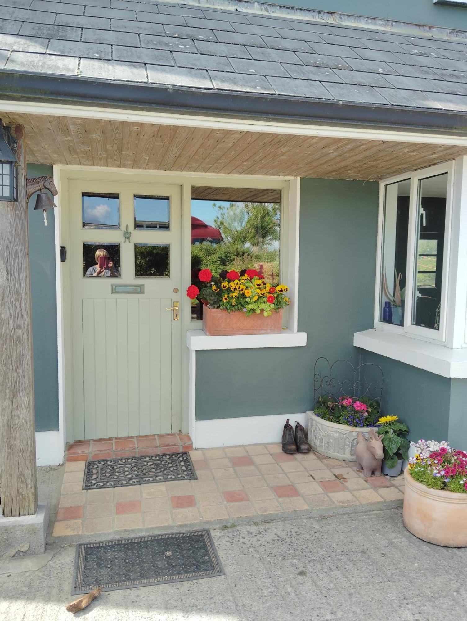 Dromelihy House Stud Pensionat Doonbeg Eksteriør billede